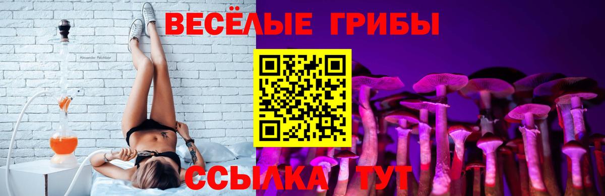 Галлюциногенные грибы ЛСД Обь