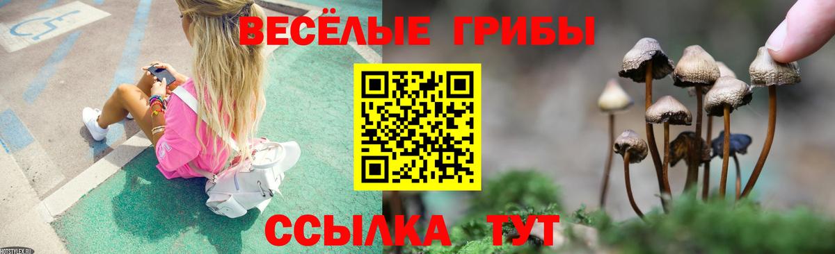 Обь  Псилоцибиновые грибы Psilocybe  купить  сайты  Вход с VPN 
